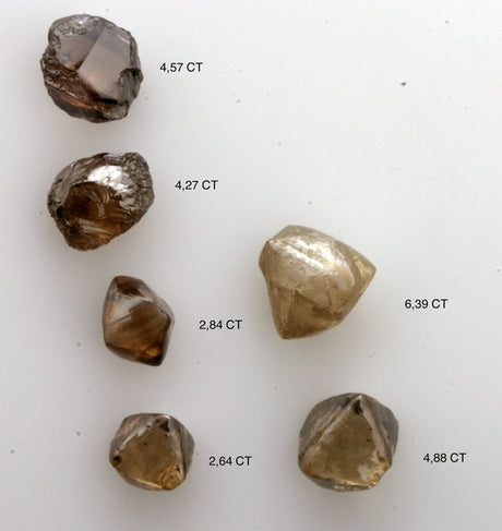 A few brown rough diamonds