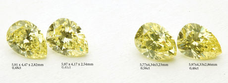 2 Yellow pear shape couples.
