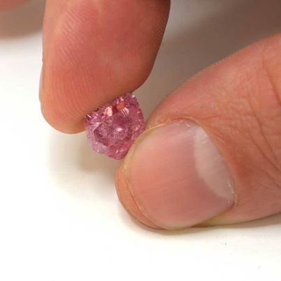Storm Mountain Diamonds Finds 'Exceptional' 23.82 Carat Pink