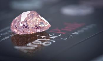 Argyle Pink Diamonds Tender, Still a Month to Go