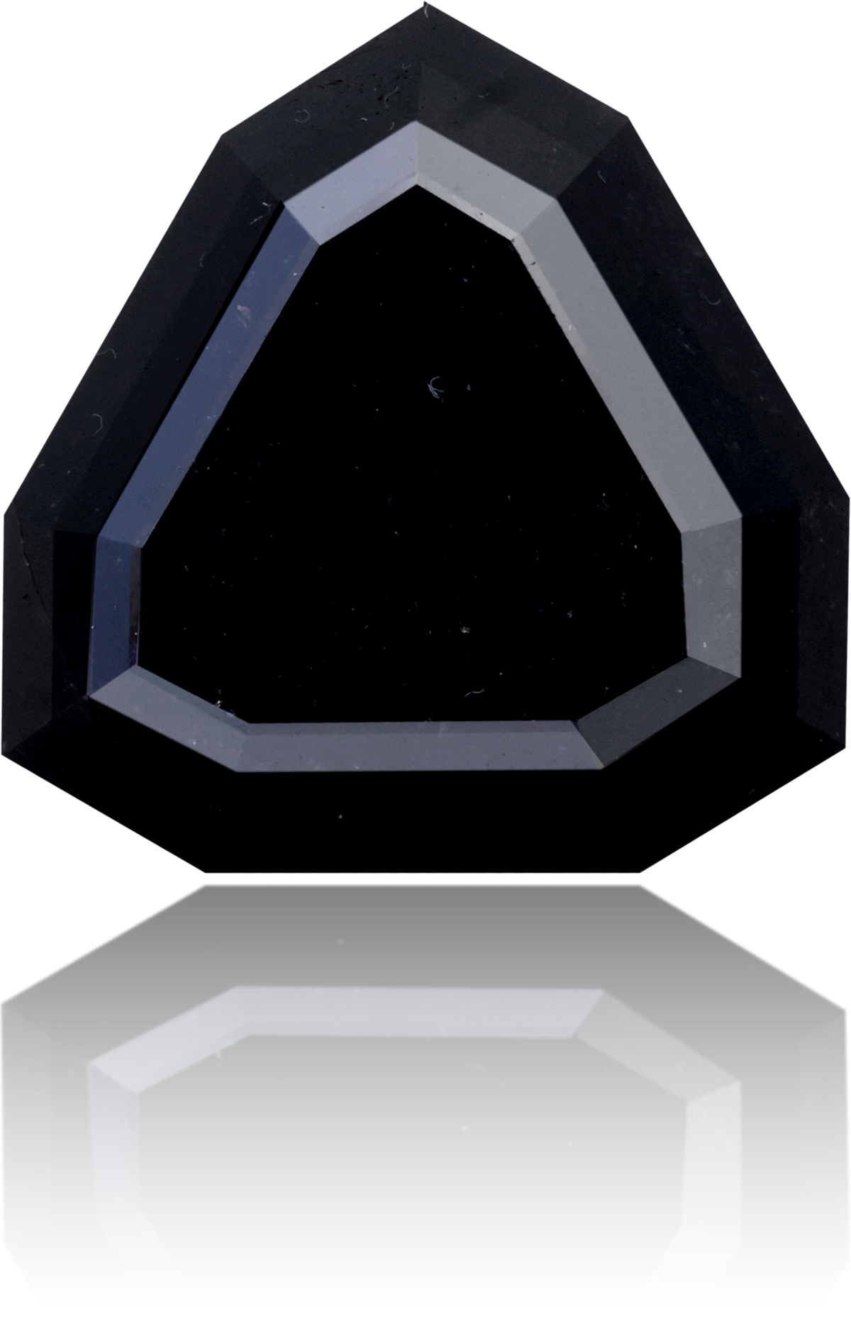 Natural Black Diamond Triangle 28.32 ct Polished