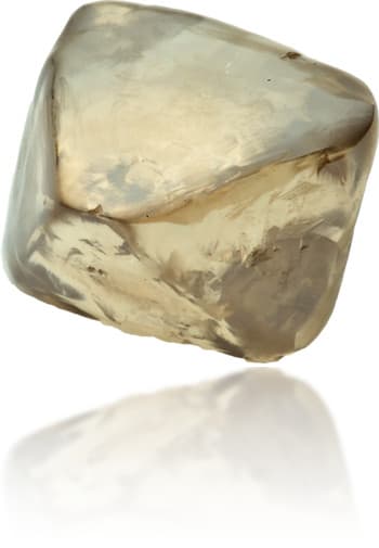 Natural Brown Diamond Rough 2.64 ct Rough