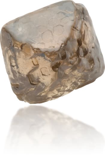Natural Brown Diamond Rough 1.96 ct Rough