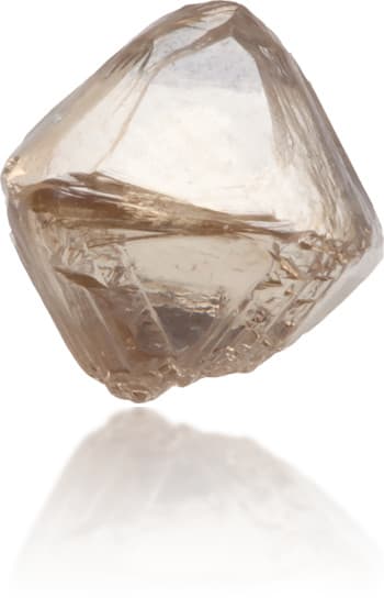 Natural Brown Diamond Rough 1.20 ct Rough