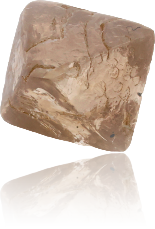 Natural Brown Diamond Rough 2.83 ct Rough